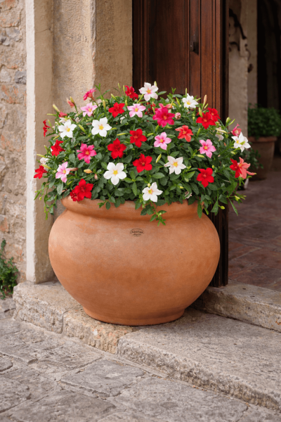 Moderner bauchiger Terracottatopf aus Impruneta mit Stempel – frostfest bis –30 °C